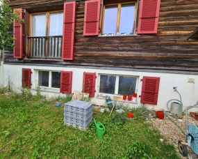Sablage chalet en bois