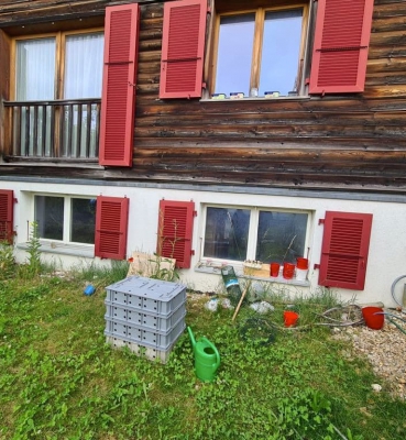 Sablage chalet en bois